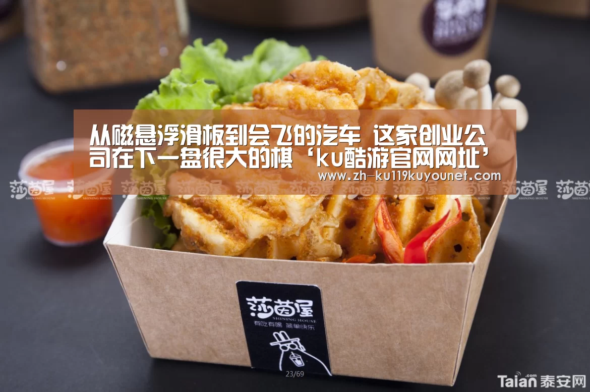 从磁悬浮滑板到会飞的汽车 这家创业公司在下一盘很大的棋‘ku酷游官网网址’(图2) ku酷游官网网址