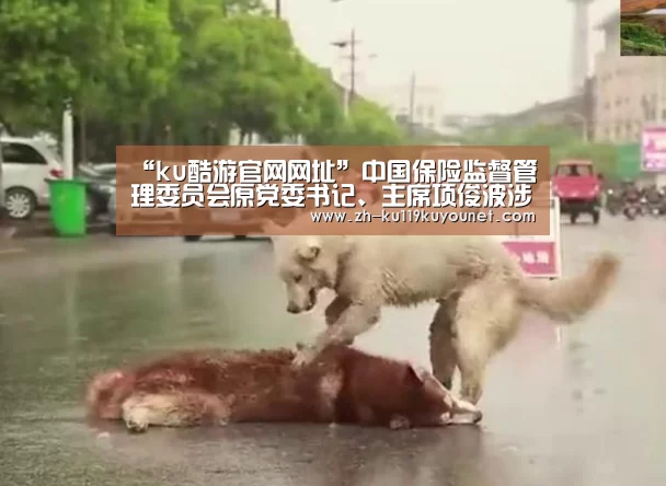 ku酷游官网网址