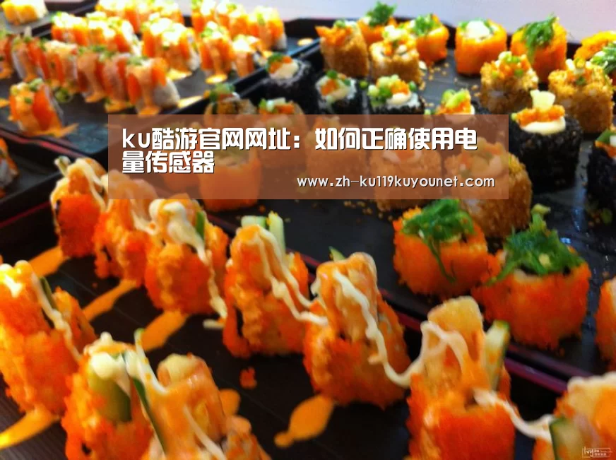 ku酷游官网网址:如何正确使用电量传感器(图1) ku酷游官网网址