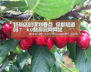 ku酷游官网网址