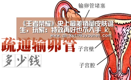 ku酷游官网网址